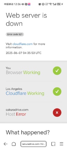 Screenshot_20250607_123600_com_xunlei_browser_XLBrowserFrameActivity$SingleTop.jpg