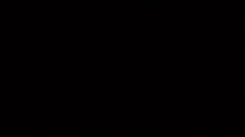 202350ed777dd29vd0vfx0.gif