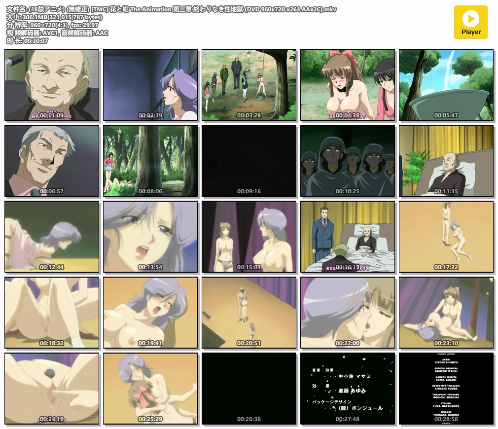(18禁アニメ) (無修正) [TMC] 花と蛇 The Animation 第三章 終わりなき性地獄 (DVD 96.jpg