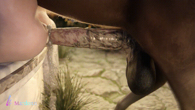 210123cx19379ob1oix0pe.gif