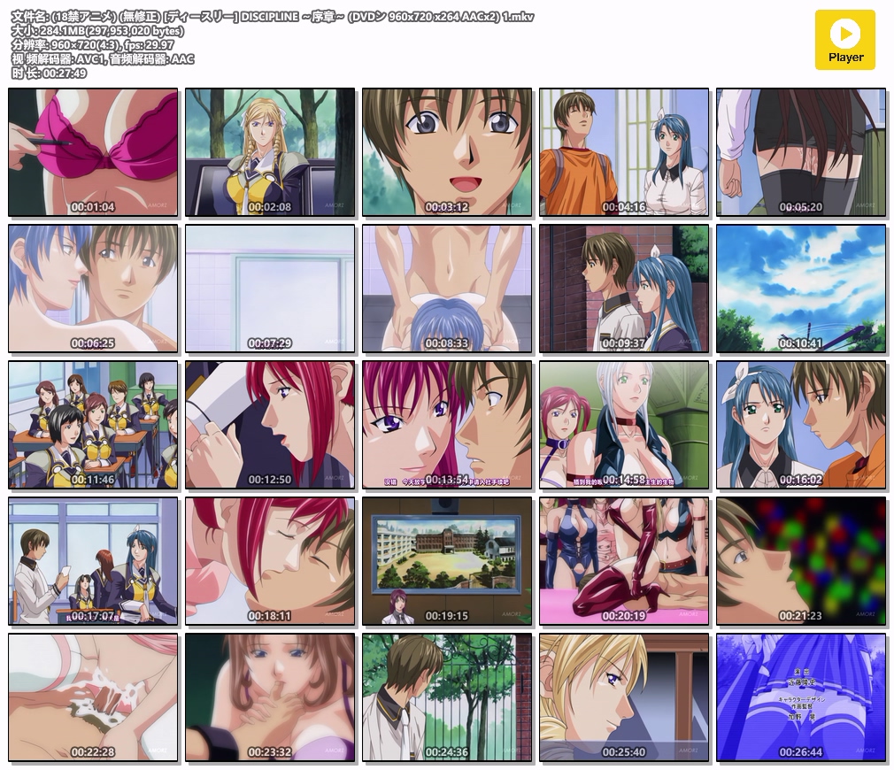 (18禁アニメ) (無修正) [ディースリー] DISCIPLINE ～序章～ (DVDン 960x720 x264 AAC.jpg