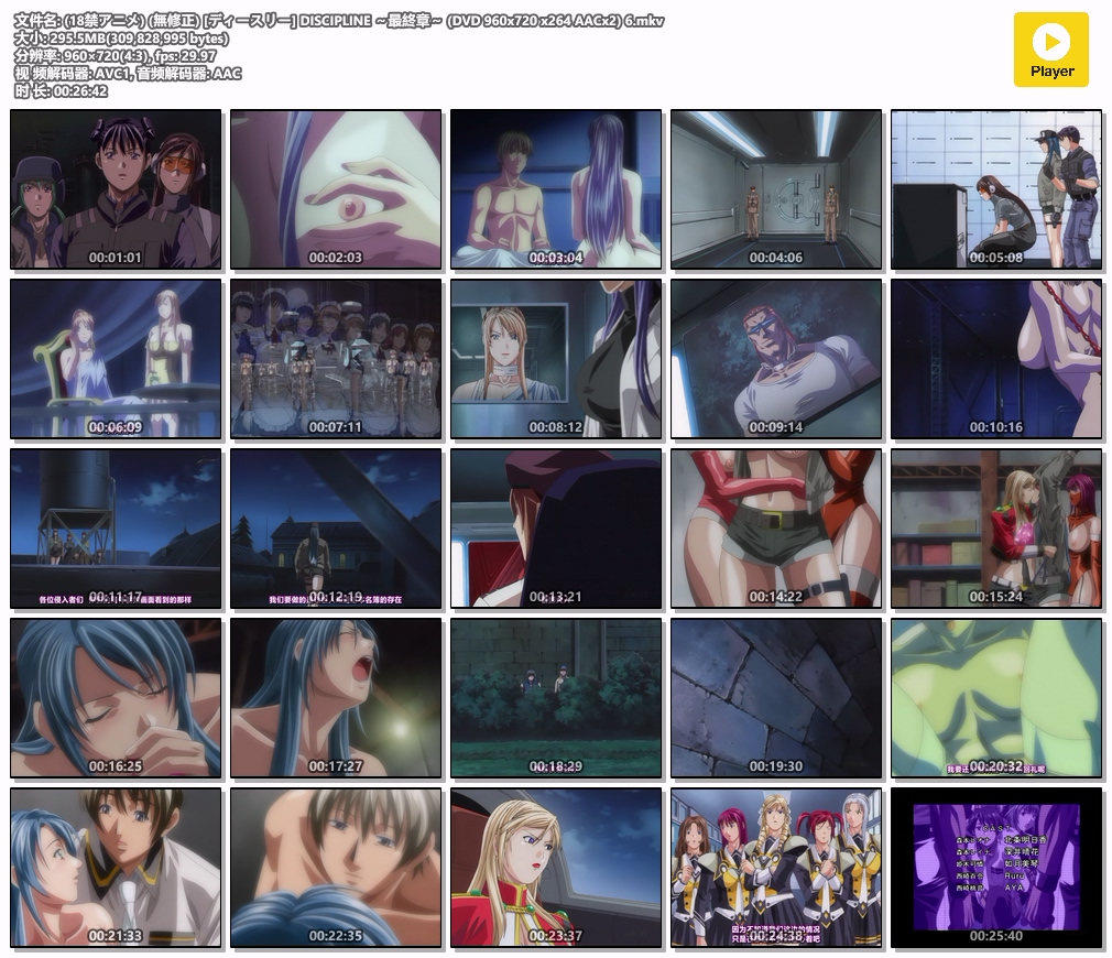 (18禁アニメ) (無修正) [ディースリー] DISCIPLINE ～最終章～ (DVD 960x720 x264 AAC.jpg