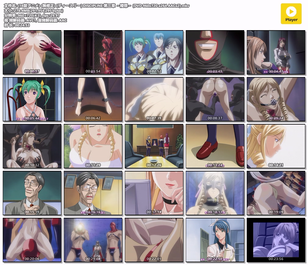 (18禁アニメ) (無修正) [ディースリー] DISCIPLINE 第三章 ～陵罪～ (DVD 960x720 x26.jpg