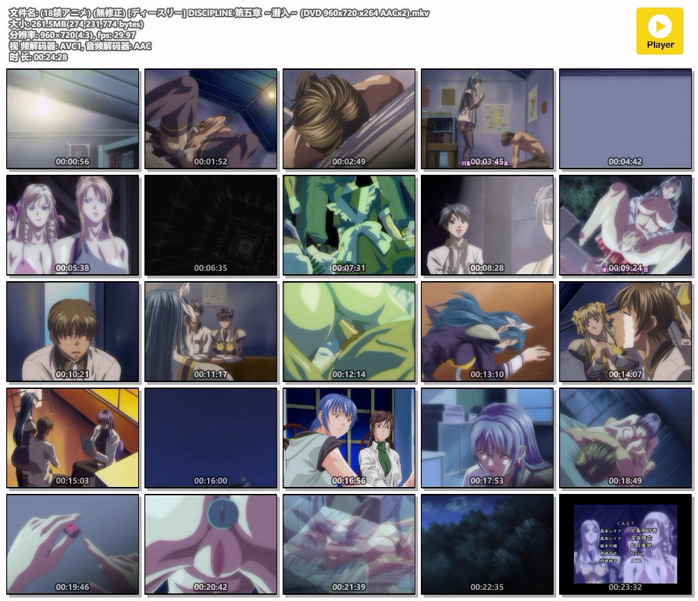 (18禁アニメ) (無修正) [ディースリー] DISCIPLINE 第五章 ～潜入～ (DVD 960x720 x26.jpg