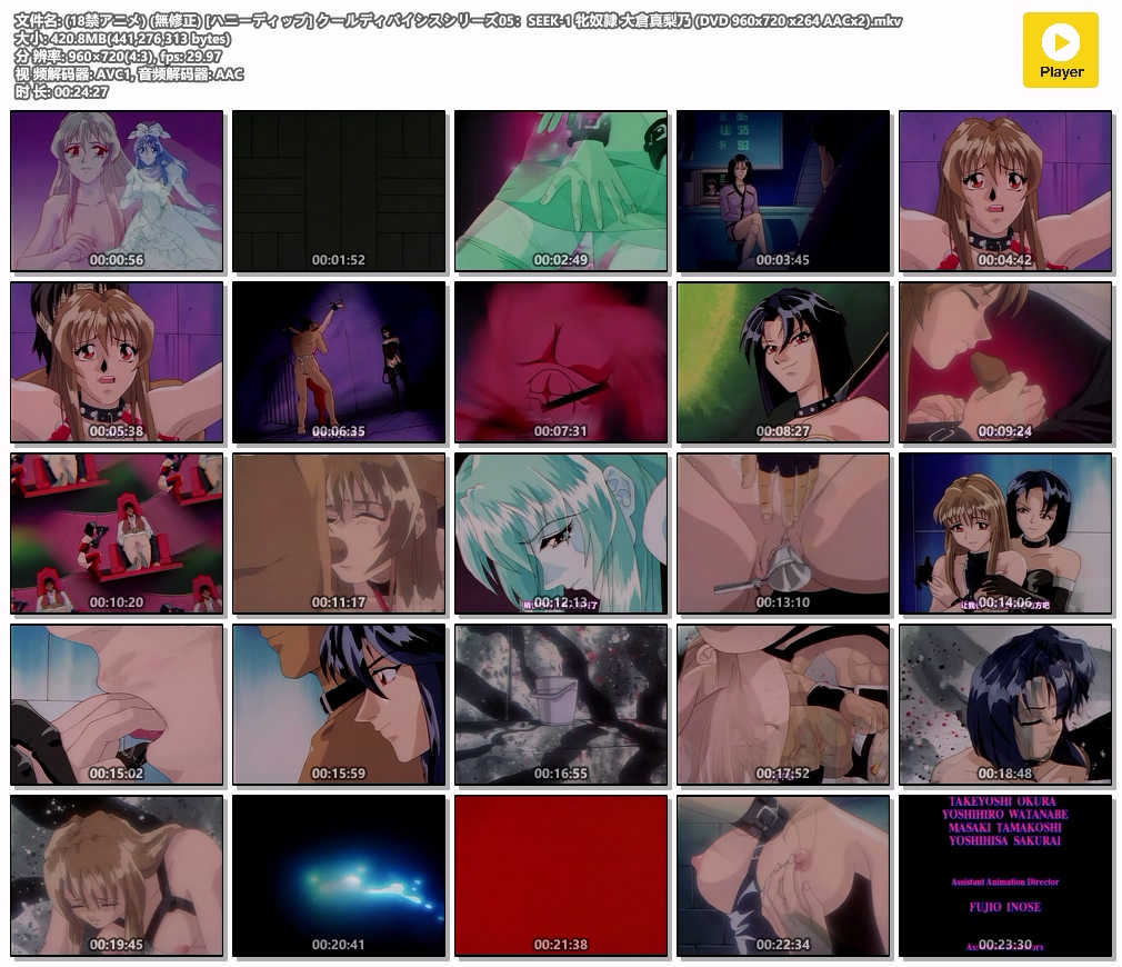 (18禁アニメ) (無修正) [ハニーディップ] クールディバイシスシリーズ05：SEEK-1 牝奴.jpg