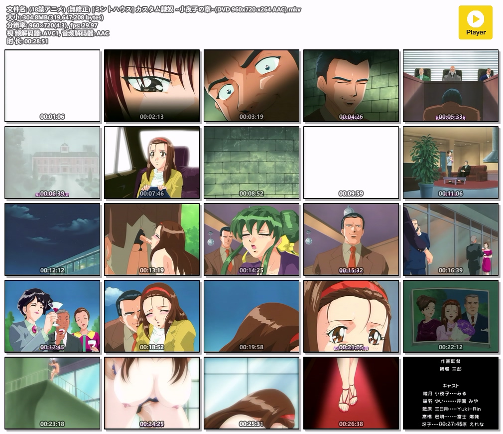 (18禁アニメ) (無修正) [ミントハウス] カスタム隷奴 ~小夜子の章~(DVD 960x720 x264 .jpg