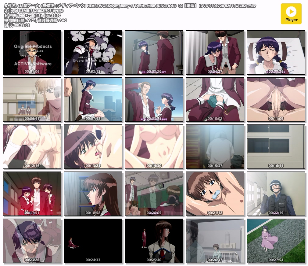 (18禁アニメ) (無修正) [メディアバンク] HEARTWORK Symphony of Destruction JUNCTIO.jpg
