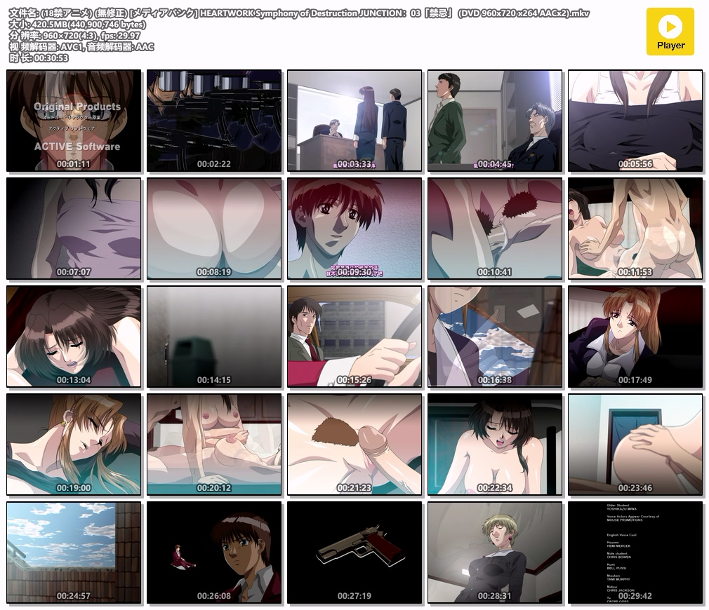 (18禁アニメ) (無修正) [メディアバンク] HEARTWORK Symphony of Destruction JUNCTIO.jpg