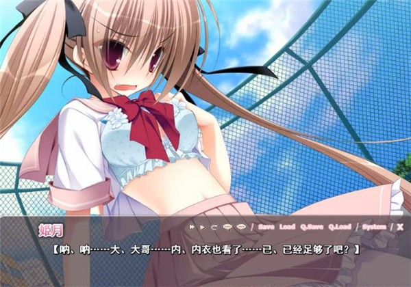 【ADV】堕落震荡—妹调教日记（1.17G）